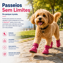 PawCool™